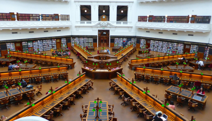 德州新华最新疫情：你需要了解的一切