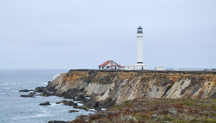 最新西海岸疫情情况：全面解析与未来展望