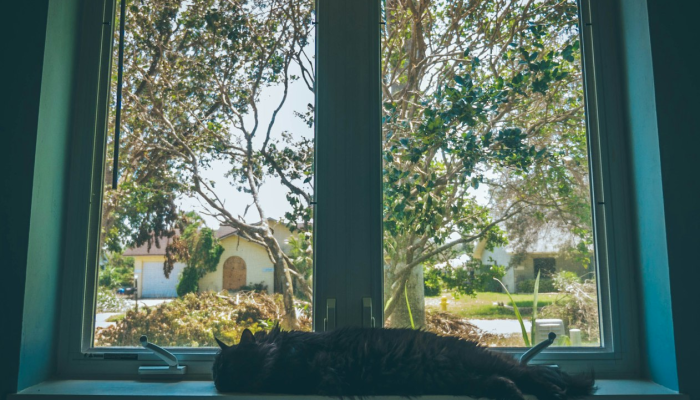 西安今日防疫情况最新：了解最新动态，保护健康安全