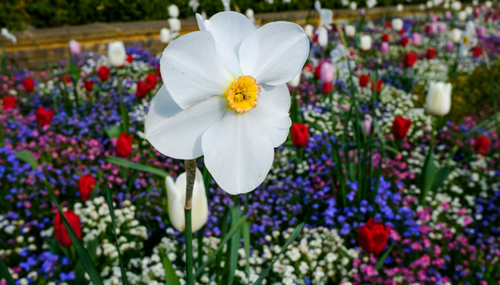 牡丹市最新疫情：防控与生活的平衡之道