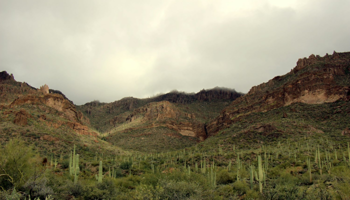 海马最新疫情：全球健康的尖端防线