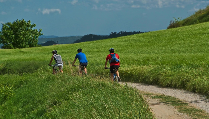 岱美股份最新消息疫情：从挑战到机遇的转变之路