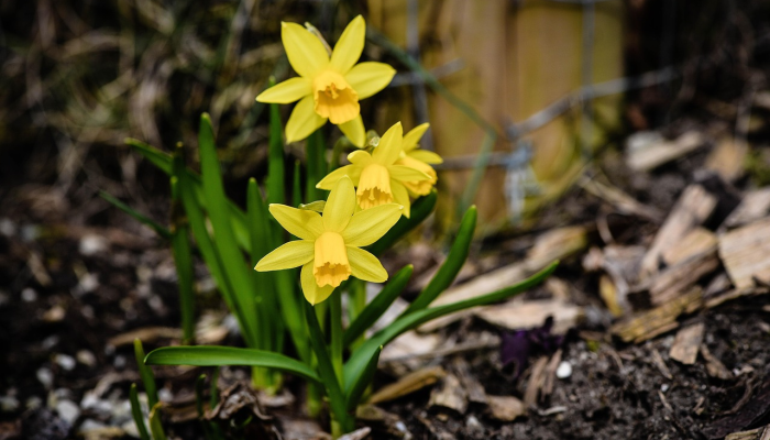 荔湾和平最新疫情通报：紧急情况下的科学防疫措施与社区支持