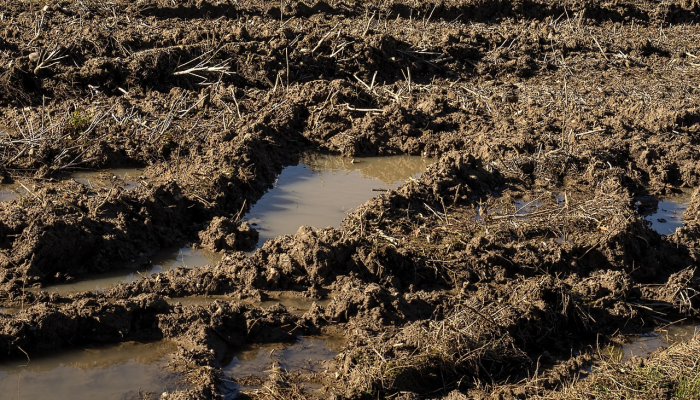 小井沟最新疫情：了解与防护指南