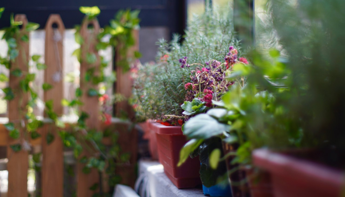 上海疫情风控导图最新:全面掌控防疫新动态 上海疫情风控导图最新:全面掌控防疫新动态