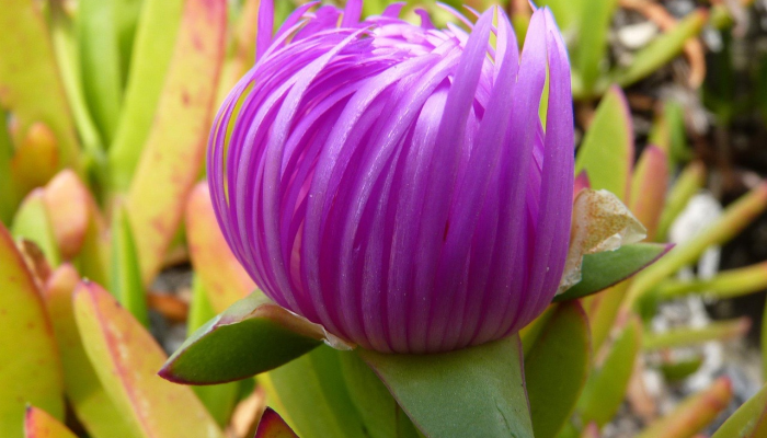 疫情等级最新动态:全面了解你所在地区的防疫措施