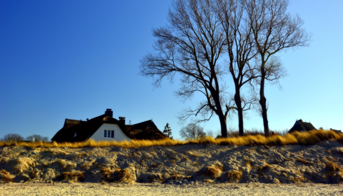 皇陵最新疫情情况：安全出行指南与最新动态