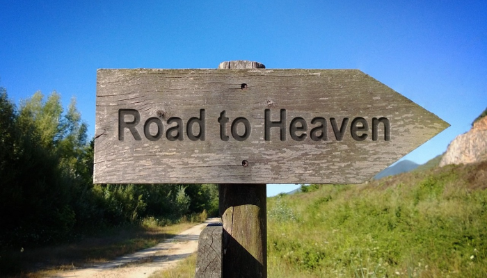 枫林绿洲疫情最新消息：健康与安全，共筑未来