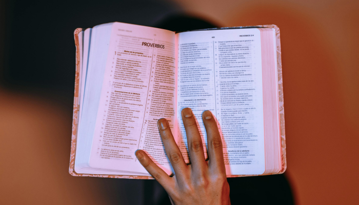 包头疫情最新流调消息：为您梳理真实、全面的信息