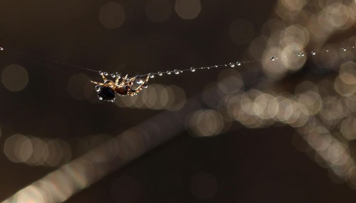 许昌疫情政策最新：最新动态与您的健康保障