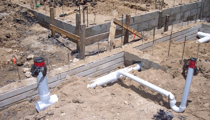 疫情最新猛料：全球健康前沿动态与未来展望