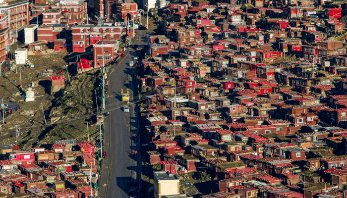 海丰县梅陇镇最新疫情：安全、健康与未来的守护者