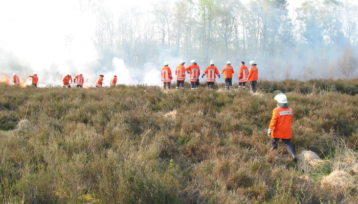 讷河今天疫情最新报告：全面解析与未来展望