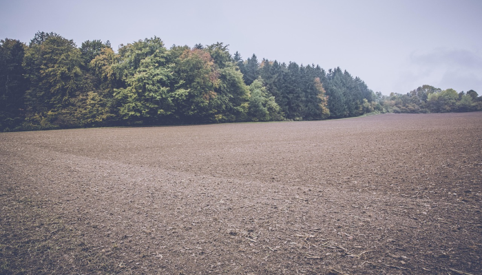 伊春疫情现状最新消息