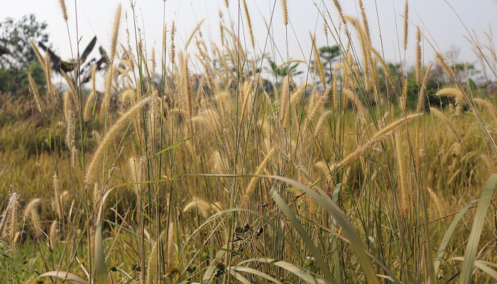 横店今天疫情最新消息:全面了解最新动态,保护健康第一 横店今天疫情最新消息:全面了解最新动态,保护健康第一