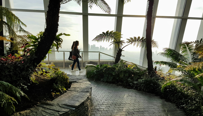 腾飞花园疫情最新消息