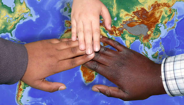 最新疫情与老鼠：隐藏在宁静背后的危险因素