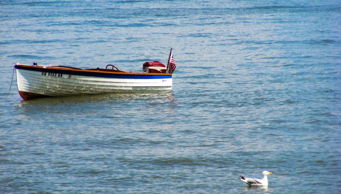 查最新辽宁疫情：了解实时动态，确保健康安全