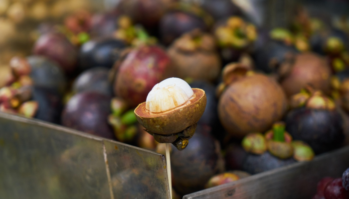 宁夏柬埔寨最新疫情：最新动态与健康指南