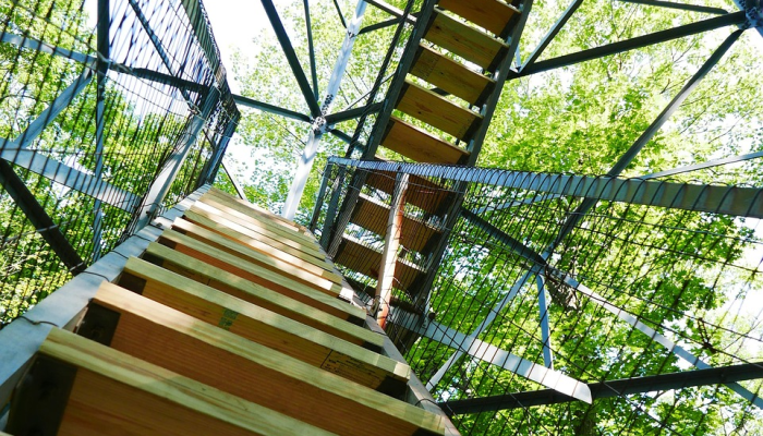 疫情最新动态巴西：从挑战到希望的历程