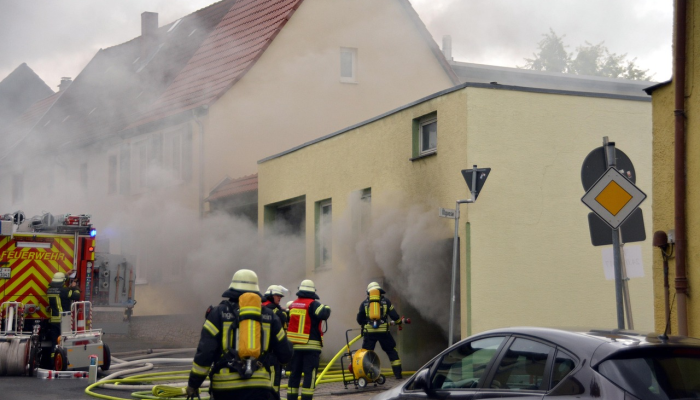 世博园最新疫情：安全与健康新篇章