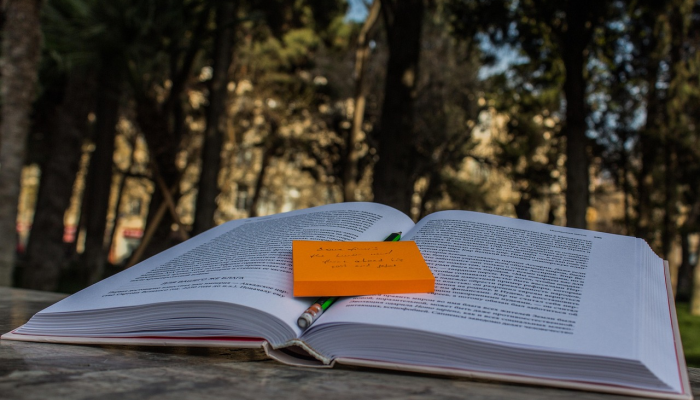 疫情深圳福田最新消息：你所需要的全面信息与实时动态