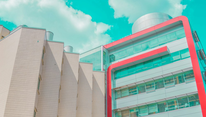 疫情廊坊最新：重塑未来，携手共进