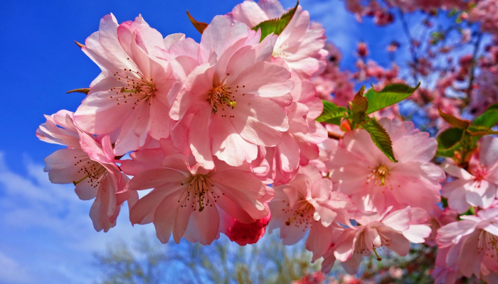 运城最新疫情婚礼：幸福在新常态中绽放