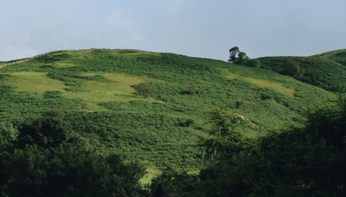 蜀汉疫情最新动向消息