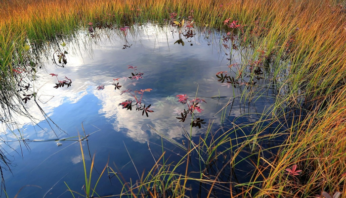 临沂黄山疫情最新情况