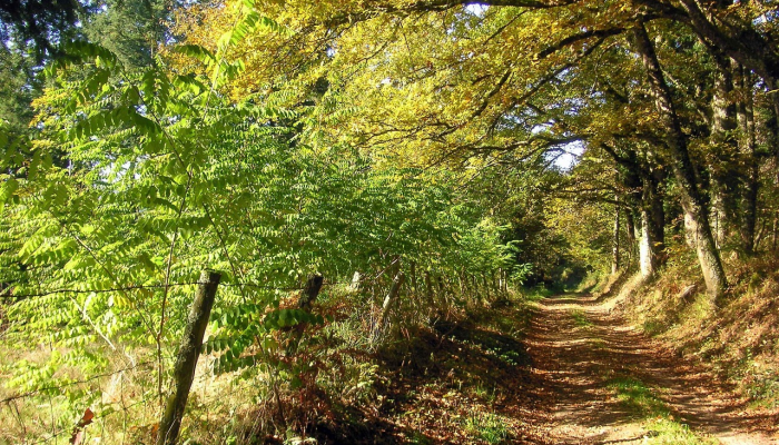 兰州最新疫情航班:安全出行指南与实时动态