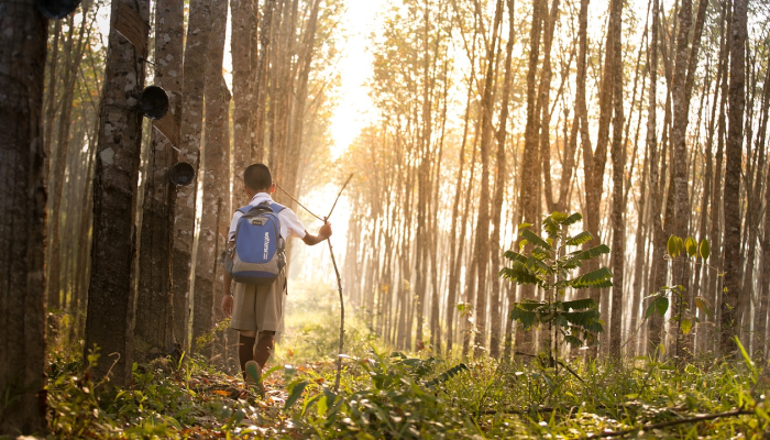 昭平樟木疫情最新情况：你需要知道的一切
