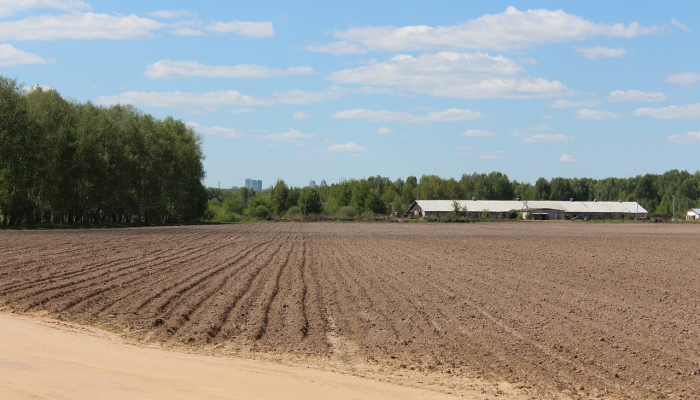 金华付村疫情最新消息：保护健康，共同努力