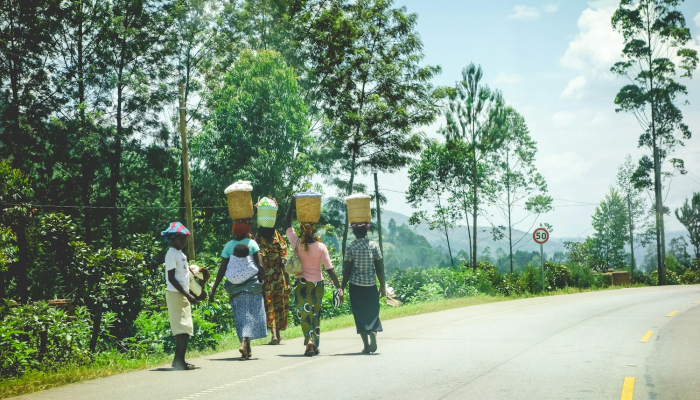 黄梅公路疫情图片最新：透视当下防控措施与社区响应