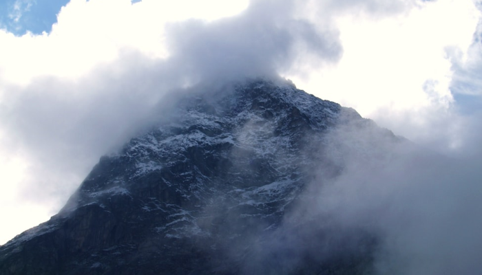 疫情实时最新数据南京：助您掌握健康动态，共同保护我们的城市