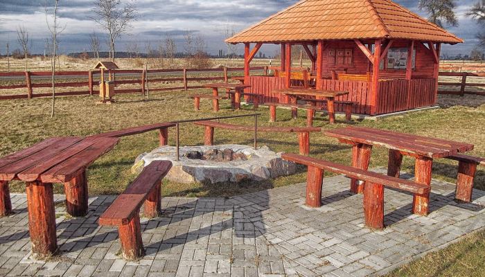 郫都区疫情最新报告：全面解读疫情动态与防护策略