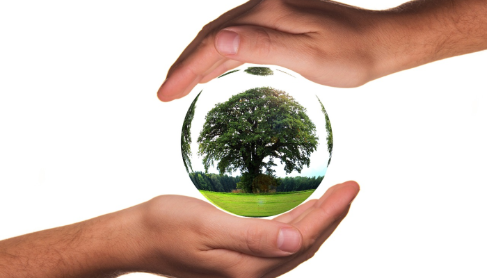 最新停工疫情政策：如何在全球健康危机中保持企业运营