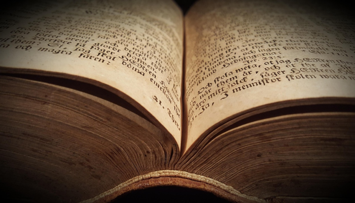 安阳玄鸟最新疫情：科学应对，共同保护