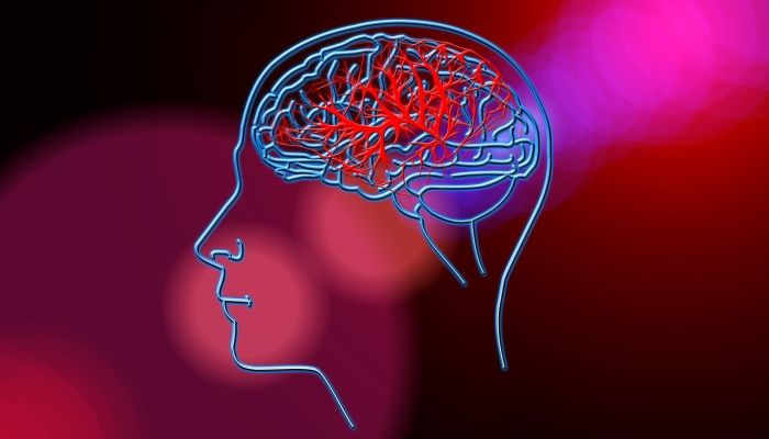 最新广州市疫情轨迹图：科学防控，共同守护健康