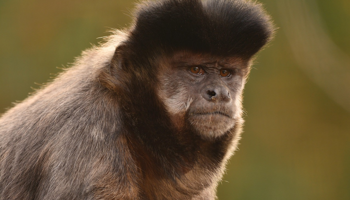 陈留疫情风险等级最新：全面了解最新动态与应对策略