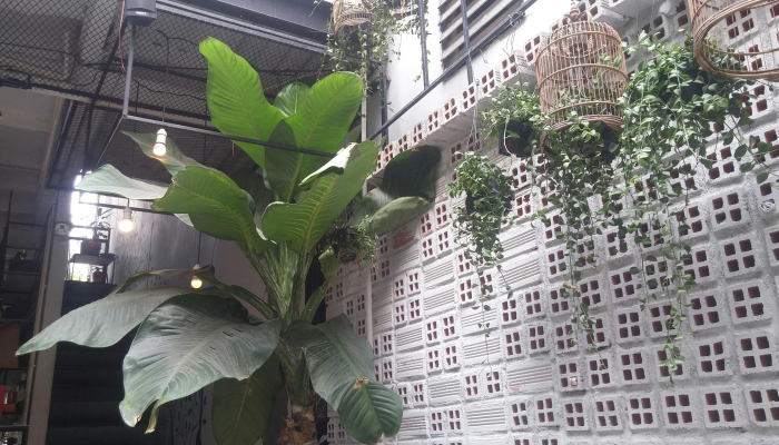 太原市长风街最新疫情：防疫措施与社区生活状态