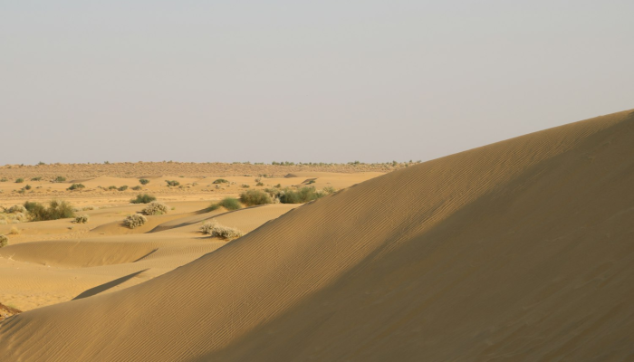 溜博最新疫情：全球健康与科技的辉煌迈步