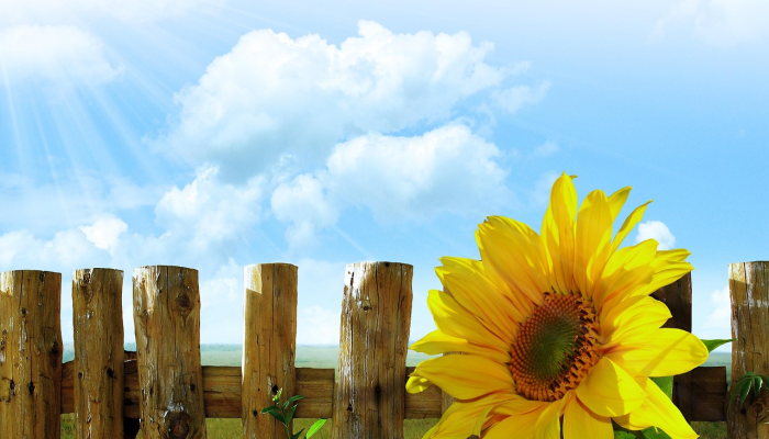 疫情南雄最新：南雄市在新时代背景下的抗疫与未来展望