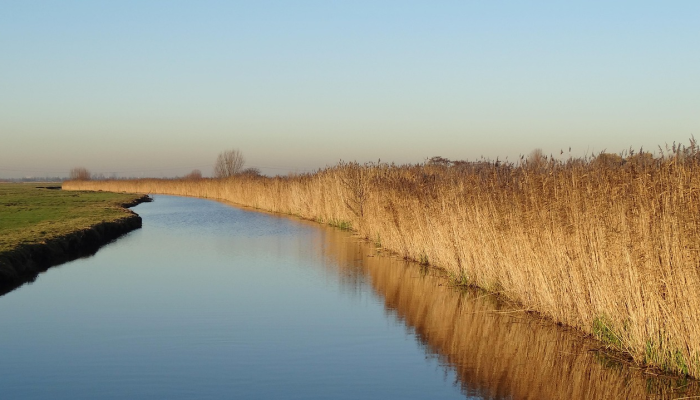 长丰水家湖最新疫情：揭秘健康守护之道