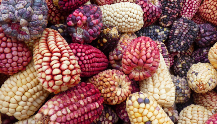 最新文安疫情最新通报:深入了解最新动态与防控措施 最新文安疫情最新通报:深入了解最新动态与防控措施