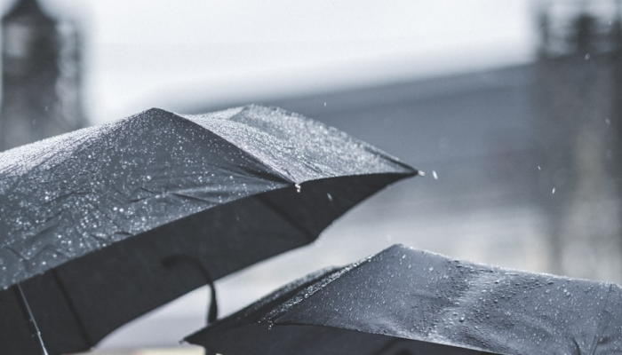 汕尾市最新疫情动态：全面了解防疫进展与生活指南