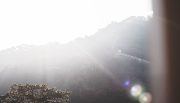 疫情动态出行政策最新：助力您的安全出行