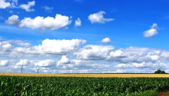 沧州青县最新疫情轨迹：防疫知识与未来规划