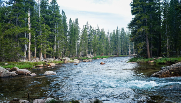 疫情优山美地最新消息：探寻自然与健康的完美平衡