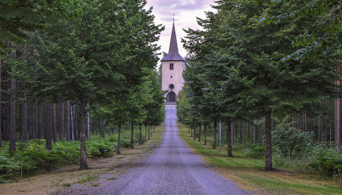 旅顺长城最新疫情情况：安全、畅行，共迎美好时光